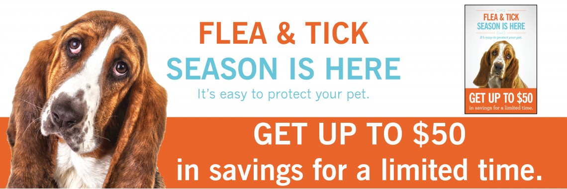 Flea & Tick